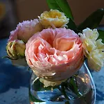 Manoir De Beauregard - Cunault Bed & Breakfast *