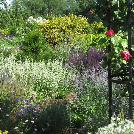 Manoir De Beauregard - Cunault Treves-Cunault