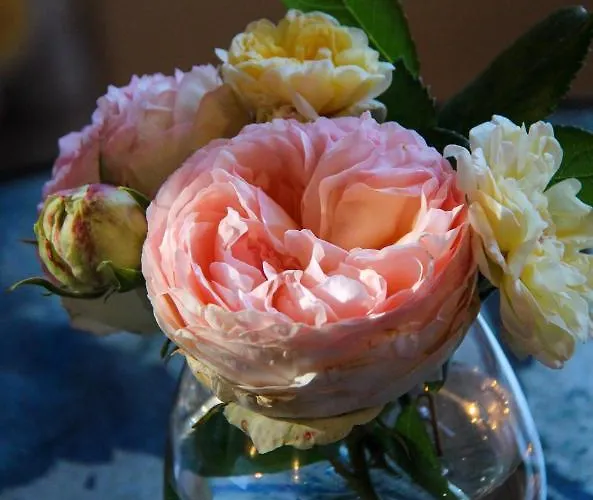 Manoir De Beauregard - Cunault Bed & Breakfast *