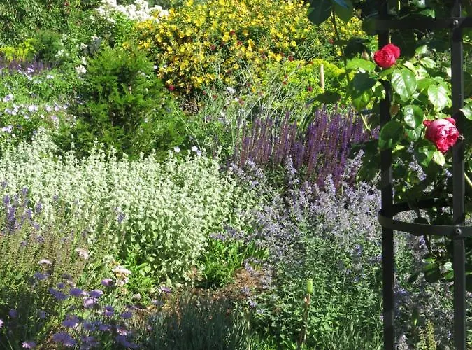 Manoir De Beauregard - Cunault Treves-Cunault